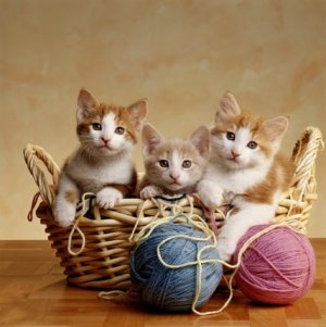 Корзинка, полная любви
