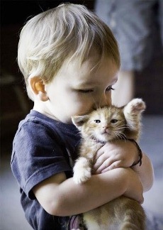 Мальчик и котенок