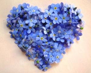 Секрет для Кита